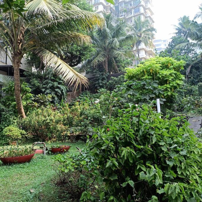 Апартаменти Cozy Private Ac Studio By The Sea Bandstand Bandra W Mumbai Nr Taj Lands End Екстер'єр фото